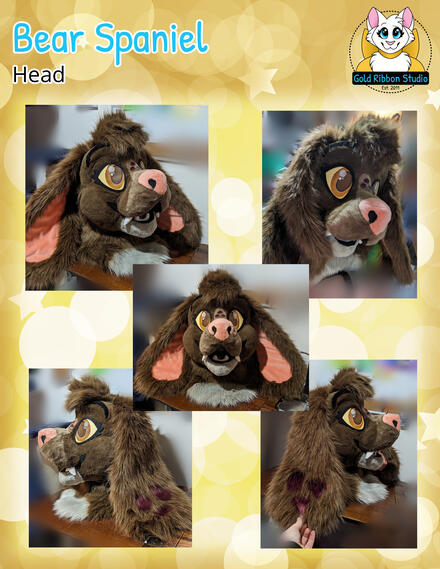 Bear